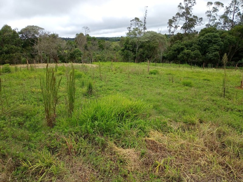 Terreno - Venda - Cocuera - Mogi das Cruzes - SP